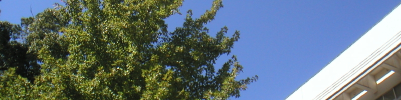PICT0182.JPG