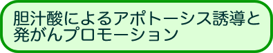 _`_ɂA|g[VXUƔv[V