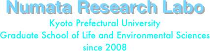 Numata Research Labo
Kyoto Prefectural University
Graduate School of Life and Environmental Sciences
since 2008