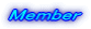 Member