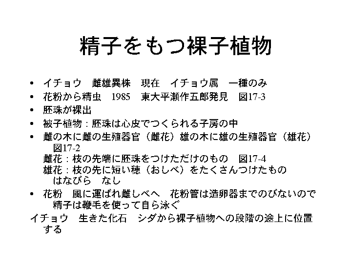 精子をもつ裸子植物