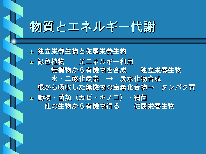 物質とエネルギー代謝