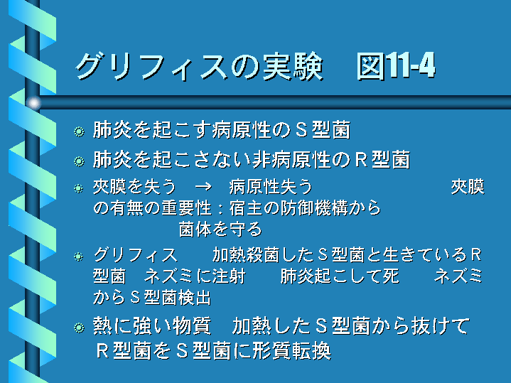 グリフィスの実験 図114