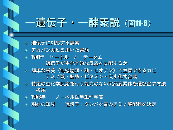 一遺伝子・一酵素説（図116）