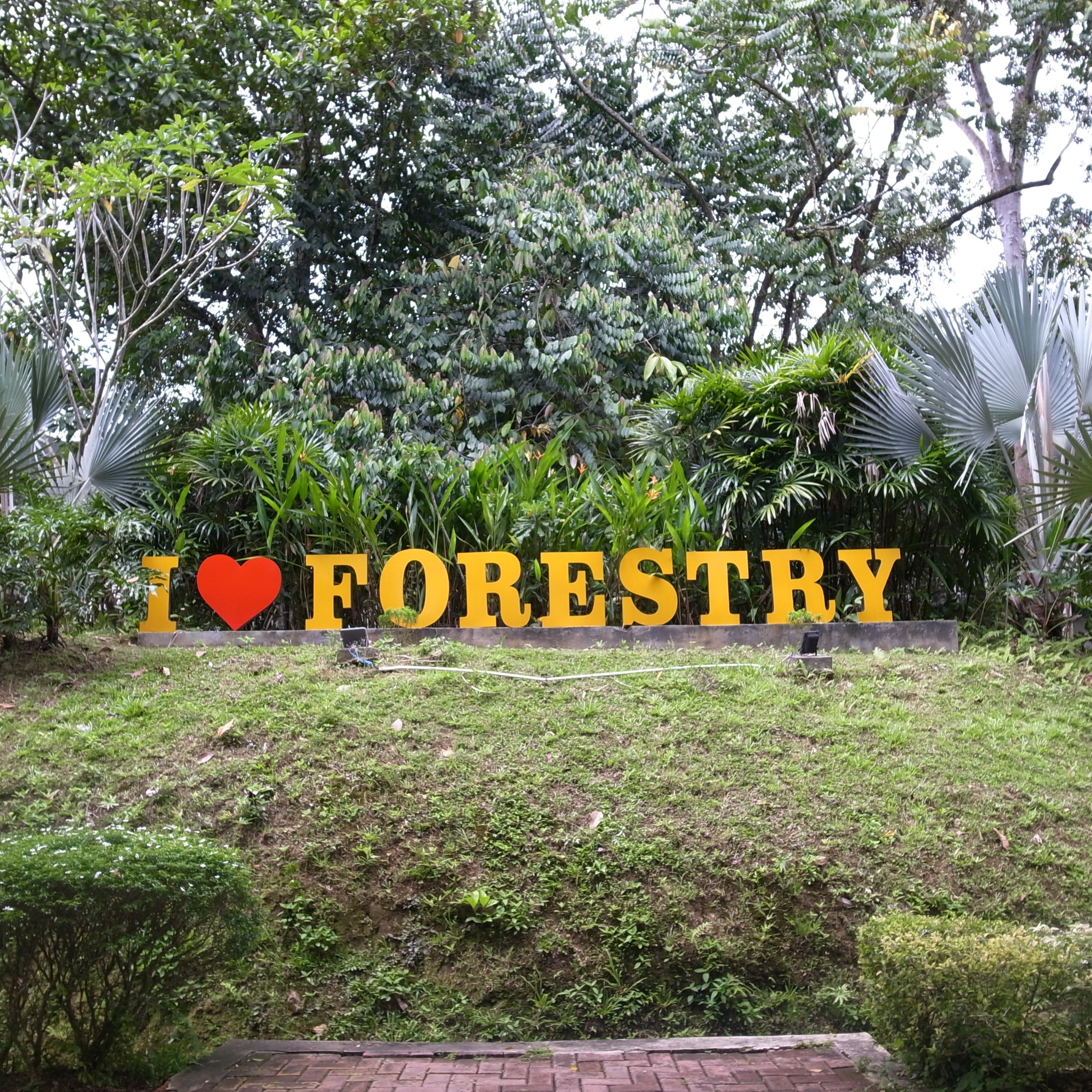 I LOVE FORESTRYのサインと緑豊かな森林